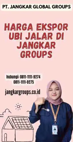 Harga Ekspor Ubi Jalar di Jangkar Groups