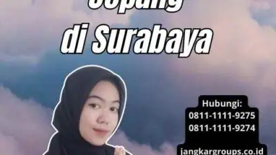 Jasa Untuk Pengurusan Visa Jepang di Surabaya