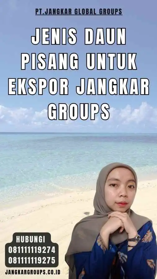 Jenis Daun Pisang Untuk Ekspor Jangkar Groups