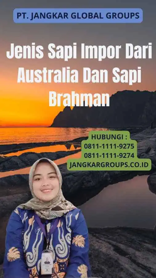 Jenis Sapi Impor Dari Australia Dan Sapi Brahman