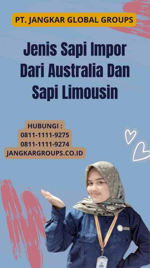 Jenis Sapi Impor Dari Australia Dan Sapi Limousin