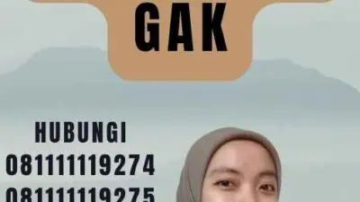 Ke Korea Pakai Visa Gak