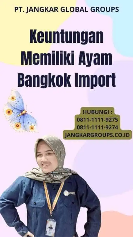 Keuntungan Memiliki Ayam Bangkok Import