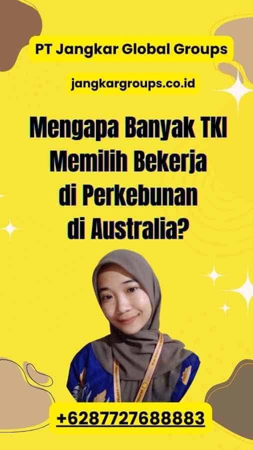 Mengapa Banyak TKI Memilih Bekerja di Perkebunan di Australia?