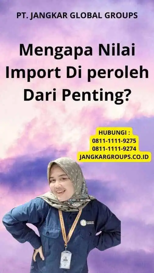 Mengapa Nilai Import Di peroleh Dari Penting?