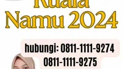 Ngurus Paspor di Kuala Namu 2024