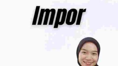 Pajak Barang Impor