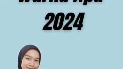 Paspor Kerja Warna Apa 2024