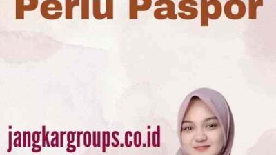 Penerbangan Domestik Perlu Paspor