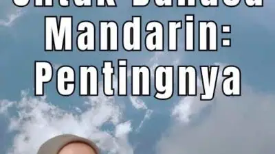 Penerjemah Tersumpah Untuk Bahasa Mandarin Pentingnya