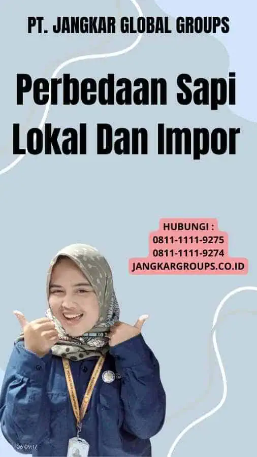 Perbedaan Sapi Lokal Dan Impor