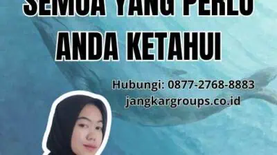 Perpanjangan Buku Pelaut: Semua yang Perlu Anda Ketahui