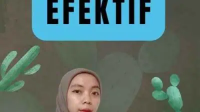 Solusi Visa Yang Efektif