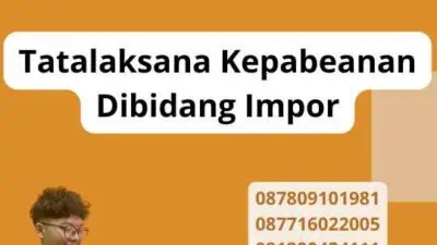 Tatalaksana Kepabeanan Dibidang Impor