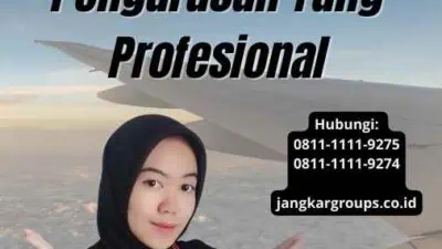 Visa Artis Dan Budaya Dengan Pengurusan Yang Profesional