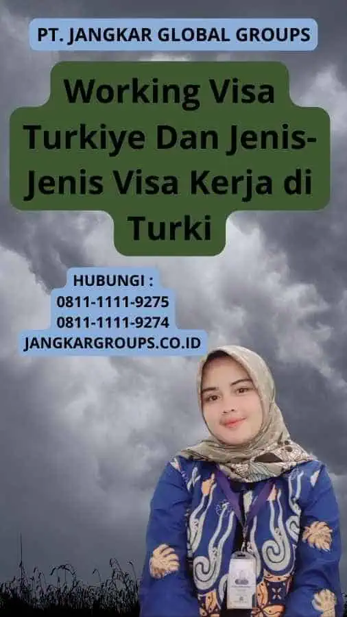 Working Visa Turkiye Dan Jenis-Jenis Visa Kerja di Turki