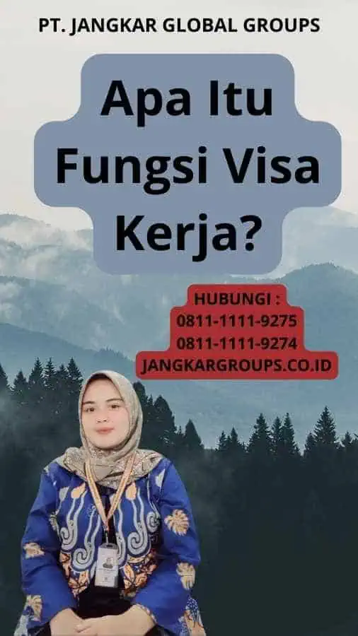 Apa Itu Fungsi Visa Kerja?