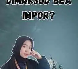 Apa Yang Dimaksud Bea Impor