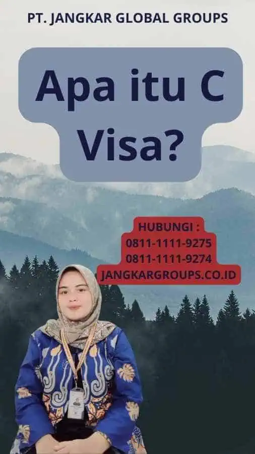 Apa itu C Visa?