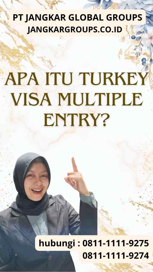 Apa itu Turkey Visa Multiple Entry