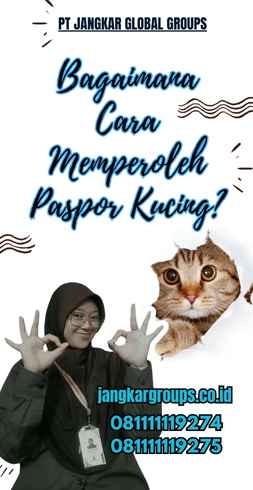 Bagaimana Cara Memperoleh Paspor Kucing?