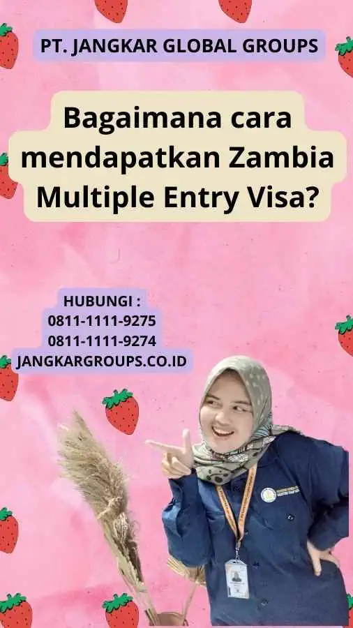 Bagaimana cara mendapatkan Zambia Multiple Entry Visa?