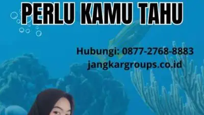 Biaya Ganti Buku Pelaut: Semua yang Perlu Kamu Tahu