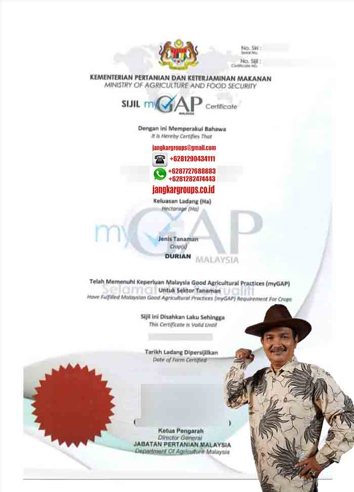 Contoh GAP Malaysia