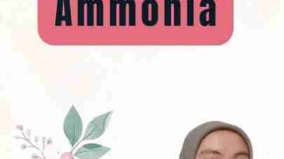 Data Ekspor Ammonia