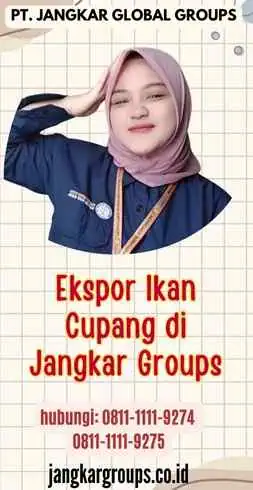 Ekspor Ikan Cupang di Jangkar Groups