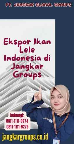 Ekspor Ikan Lele Indonesia di Jangkar Groups