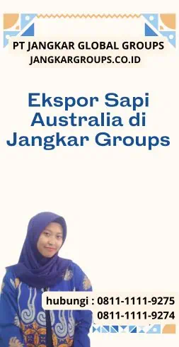 Ekspor Sapi Australia di Jangkar Groups