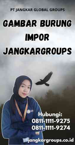 Gambar Burung Impor Jangkargroups