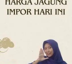 Harga Jagung Impor Hari Ini