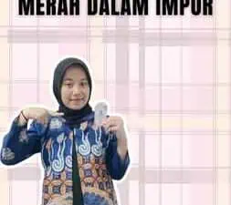 Impor Red Line Memahami Garis Merah dalam Impor