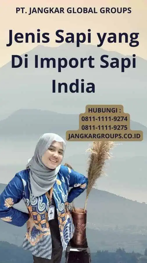 Jenis Sapi yang Di Import Sapi India