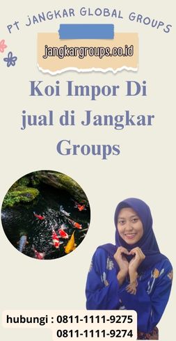 Koi Impor Di jual di Jangkar Groups