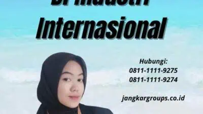 Konsultasi Visa Untuk Peluang Karir Di Industri Internasional