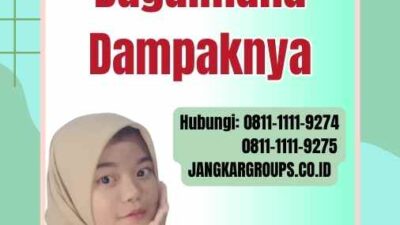 Kurva Impor Beras Apa Itu dan Bagaimana Dampaknya