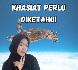 Madu Al Shifa Impor Asli Manfaat dan Khasiat Perlu Diketahui