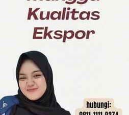 Mangga Kualitas Ekspor