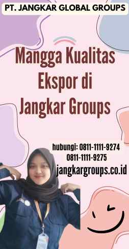 Mangga Kualitas Ekspor di Jangkar Groups