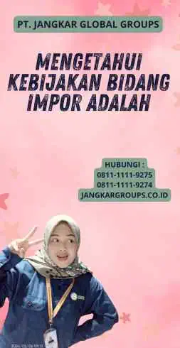 Mengetahui Kebijakan Bidang Impor Adalah