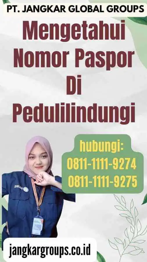 Mengetahui Nomor Paspor Di Pedulilindungi