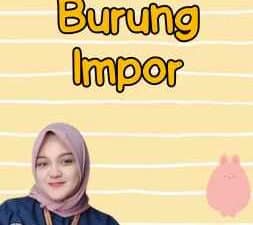 Pakan Burung Impor