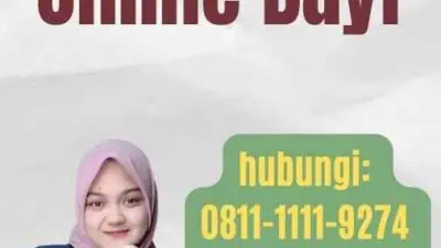 Paspor Online Bayi