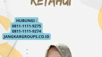 Pengajuan E-Visa Jepang - Semua yang Perlu Kamu Ketahui