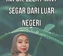 Permen Mint Impor Lezat Mint Segar dari Luar Negeri