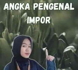 Syarat Pendaftaran Angka Pengenal Impor