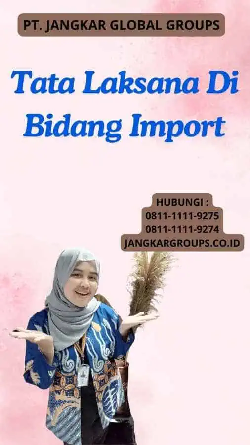 Tata Laksana Di Bidang Import